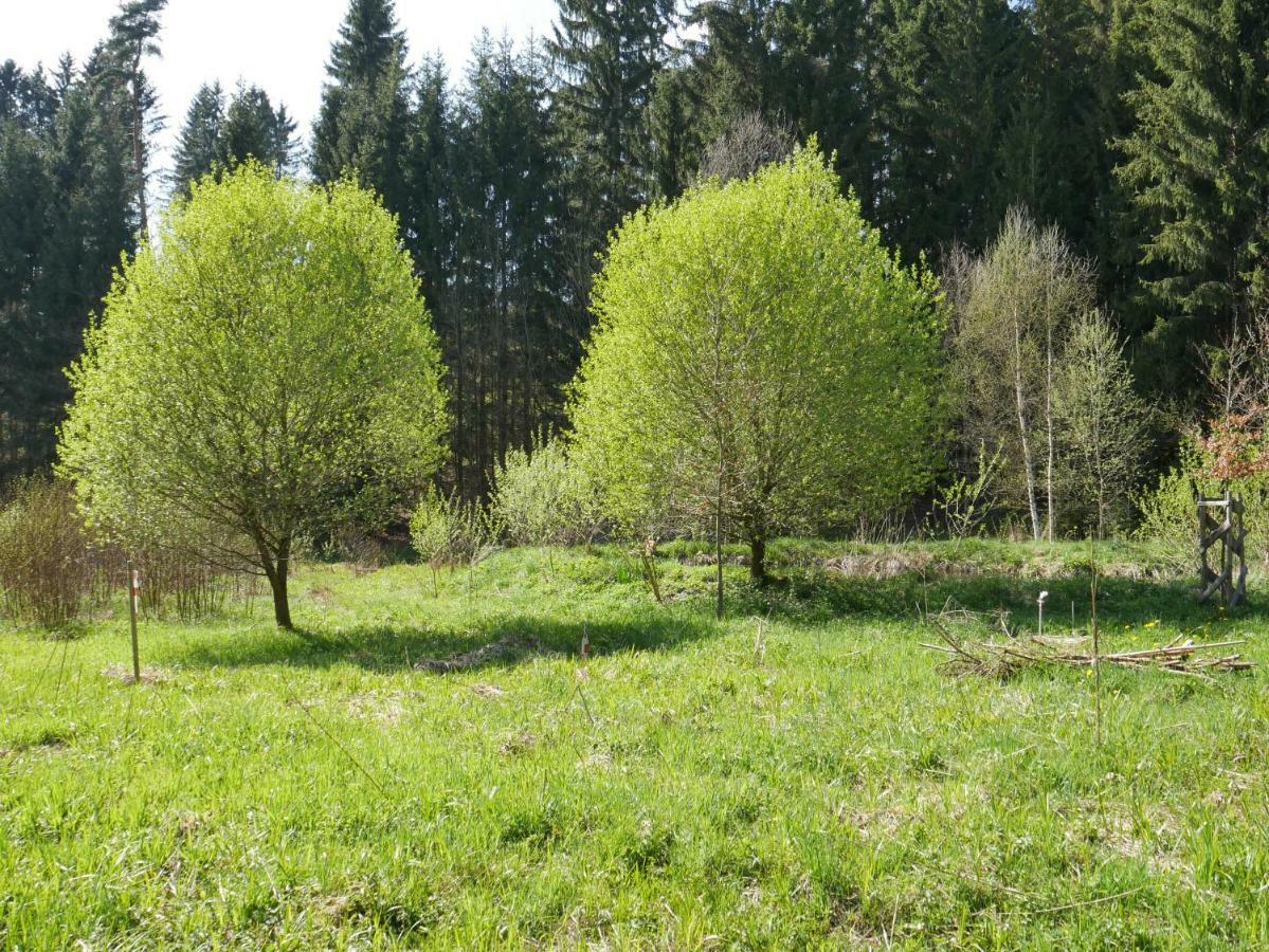 Gruenlasmuehle Brand Kültér fotó